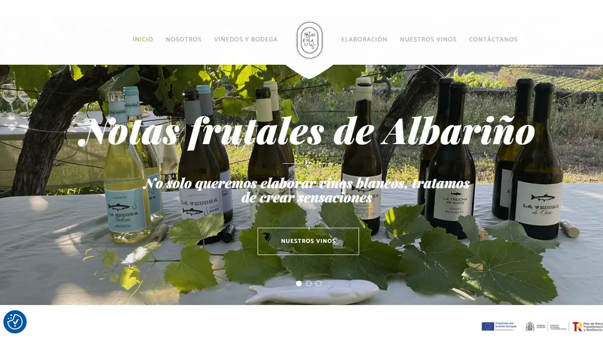 Diseño de página web WordPress para bodega de vino albariño en Crecente — Notas Frutales de Albariño